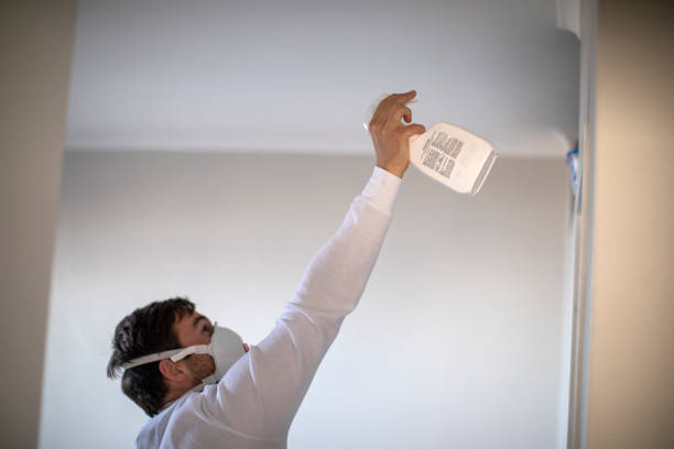 Best Mold Cleaning Services  in Paradise, NV