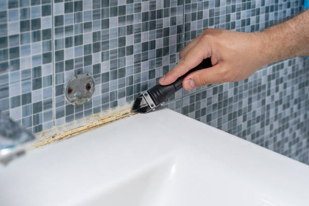 Best Local Mold Removal Service  in Paradise, NV